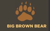 BIg brown bear